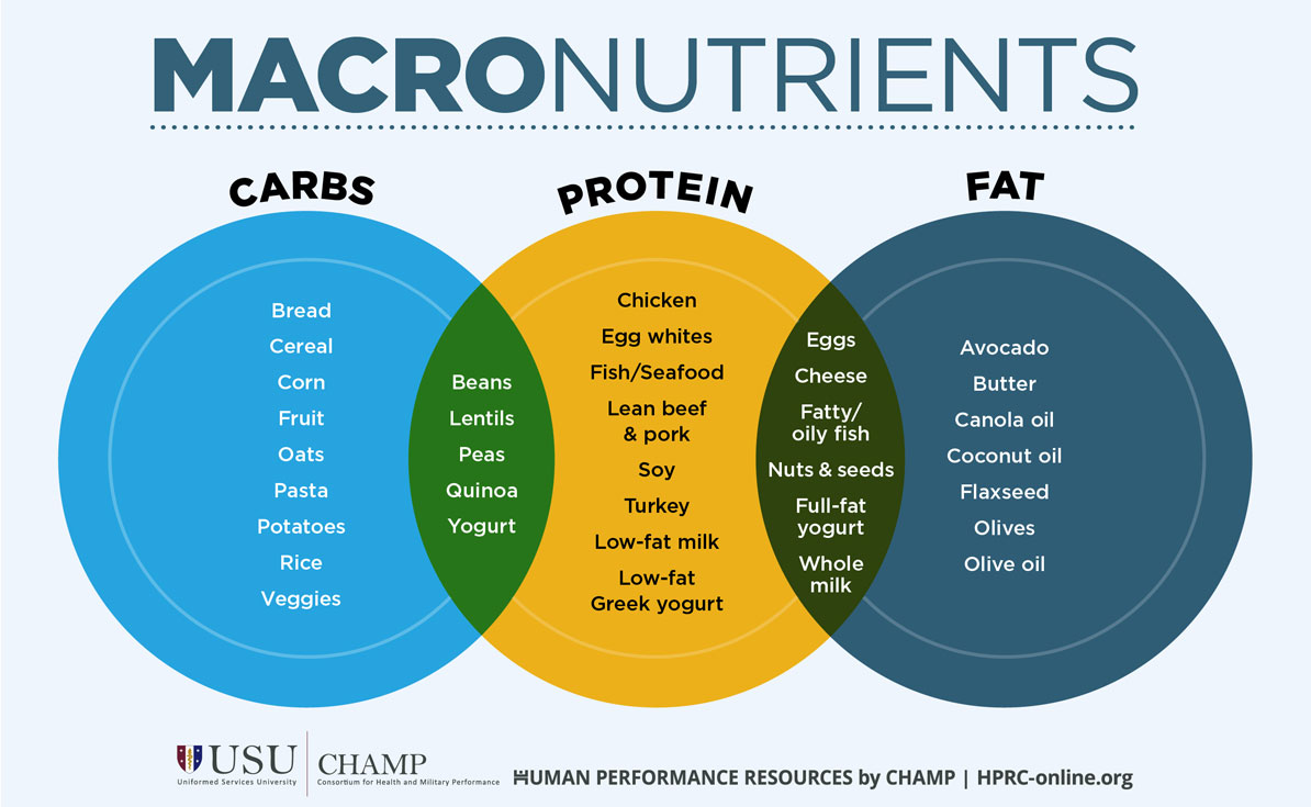 Understanding Macronutrients: Carbs, Proteins, and Fats Explained