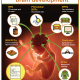 Foods for Brain Development in Children: Top Nutrient-Rich Choices