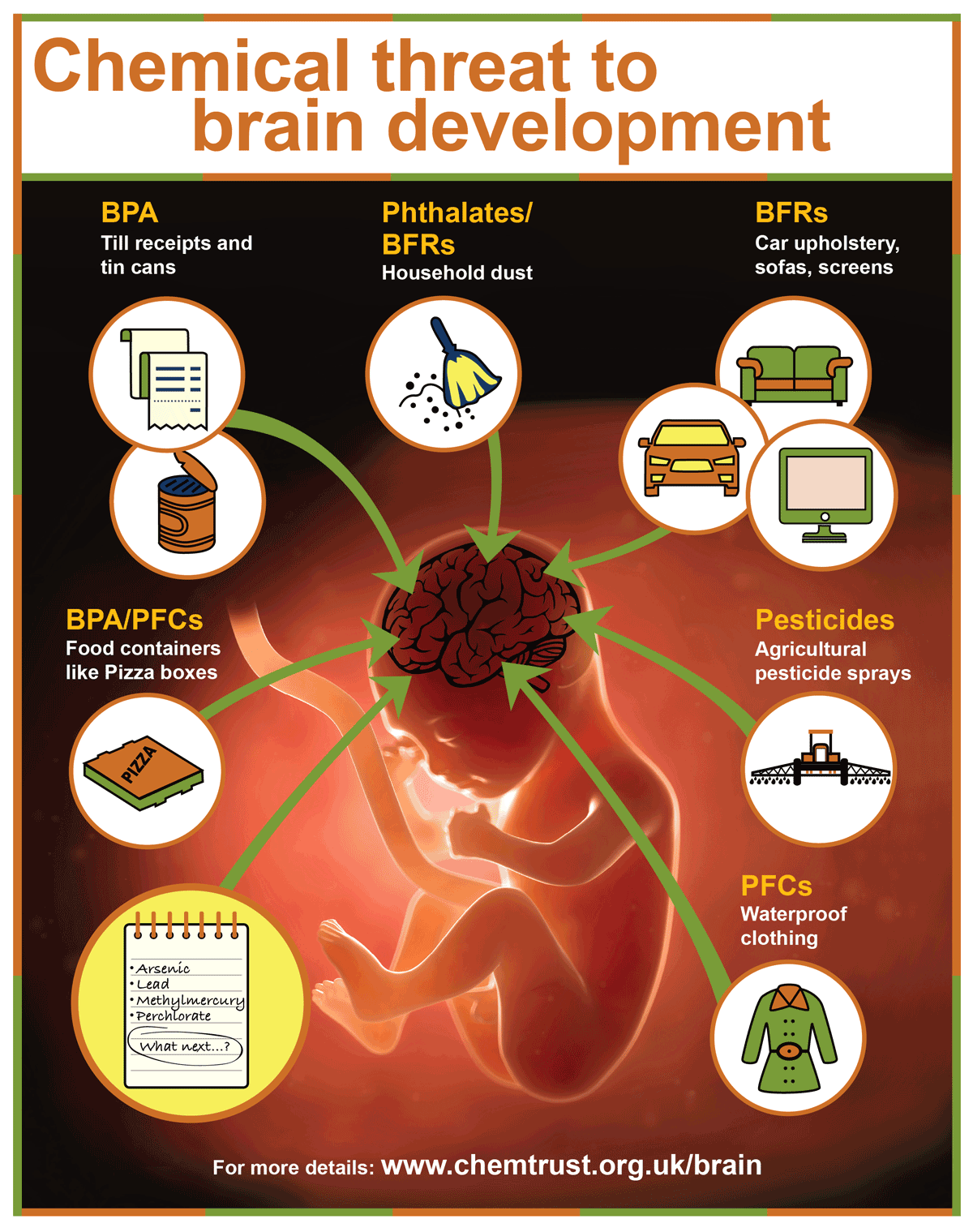 Foods for Brain Development in Children: Top Nutrient-Rich Choices